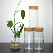 High Qualiy Clear Test Tube Glass Jar with Cork